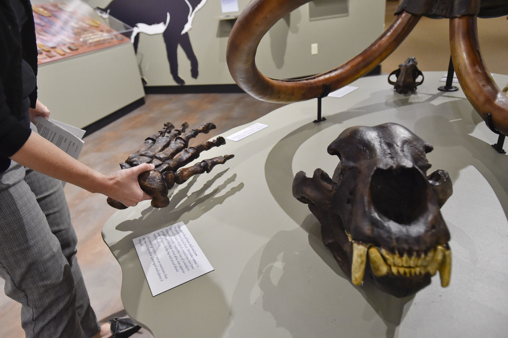 Exhibit attendants are encouraged to touch and pick up parts of the exhibit.